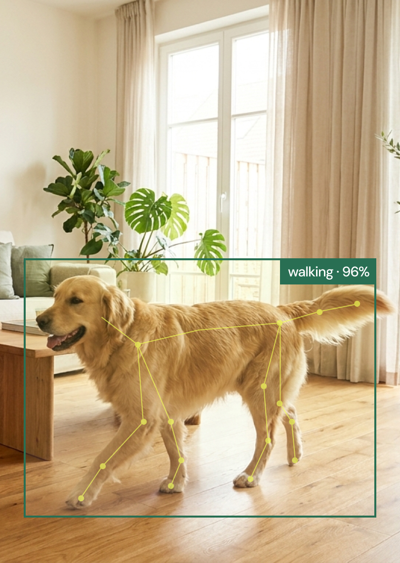 스캔 라인이 지나가는 반투명한 강아지 3D 형상, AI 행동 인식 콘셉트